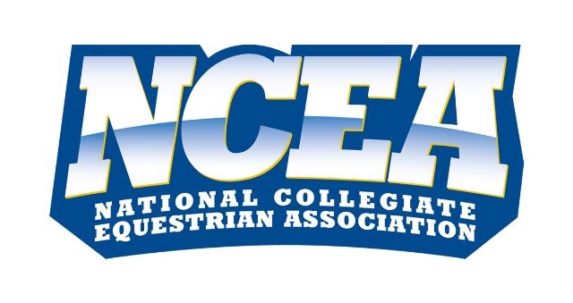 Auburn Equestrian Tops First Set of NCEA Rankings