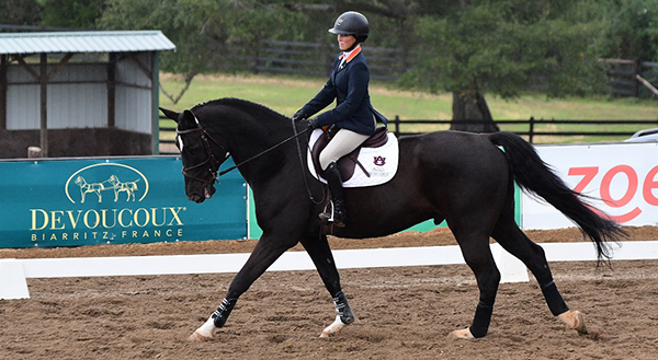 NCEA Weekend Recap- Auburn, TCU, South Carolina, Georgia, Baylor Score Wins