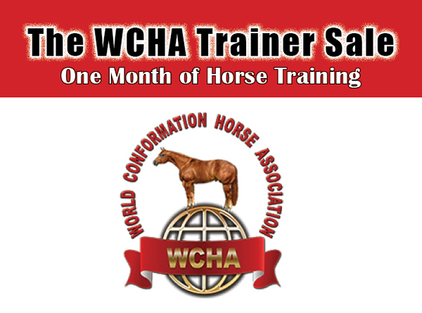 2019 WCHA Trainers’ Sale Closes Tonight