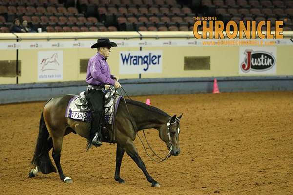 Congratulations 2018 AQHA Year-End Show Leaders and All-Around Winners!