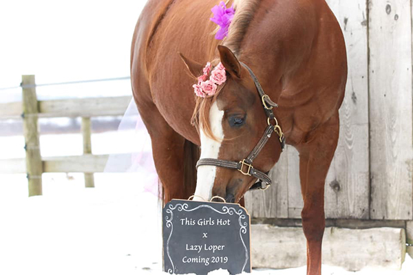 Tired of Waiting For Your Foal?