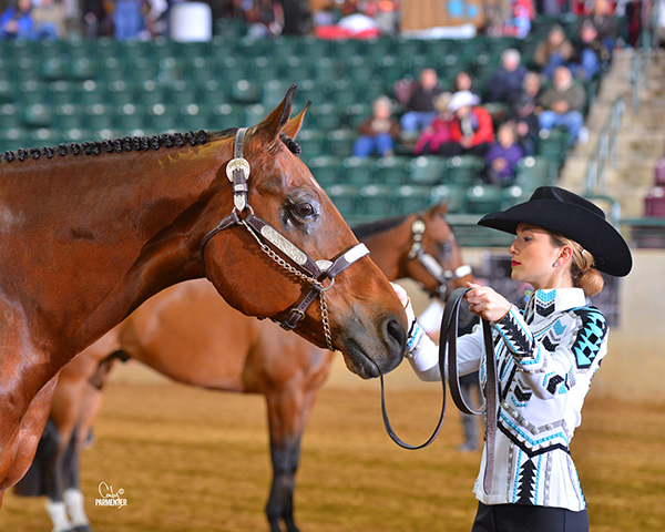 Second Payment Deadline Approaching for Halter Nomination Pilot Program