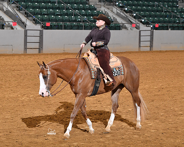 Around the Rings Dixie Nationals QH Show