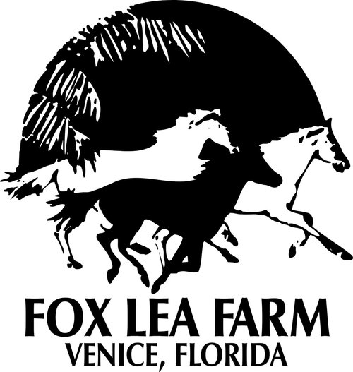 Pattern Books Online For Fox Lea Farms Love, Love Returns, and Shamrock Shuffle