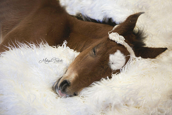 EC Photo of the Day- Newborn Photo Shoot