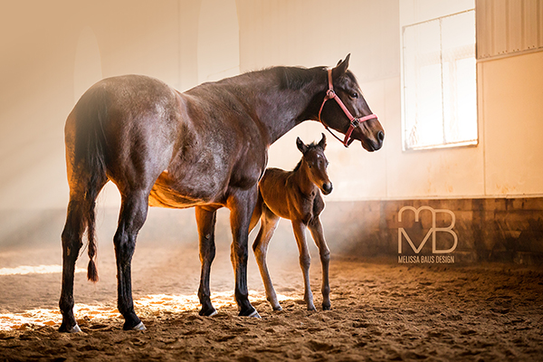 EC Photo of the Day- First Moments