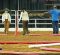 Perfecting Pole Work for the Young or Green Horse Perfecting Pole Work for the Young or Green Horse
