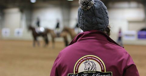 Special Event Intern Opportunity For 2019 Pinto World Show