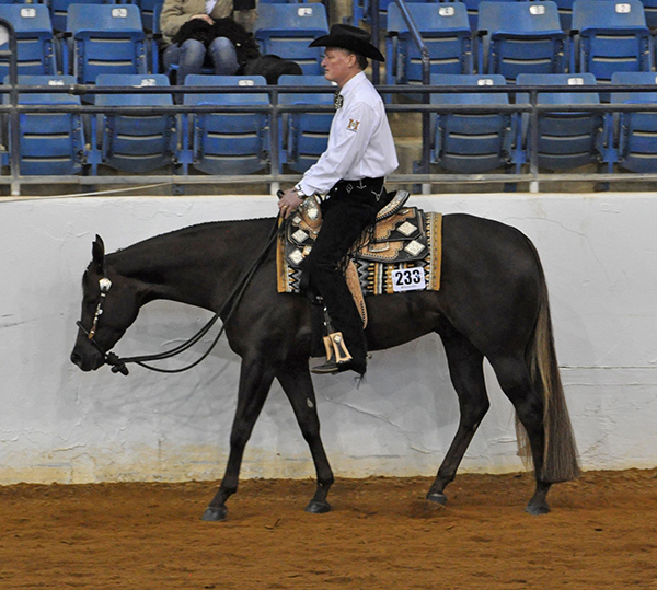 Randy Wilson/Extra Dirty Martini Win Virginia Maiden 3 and Over Western Pleasure