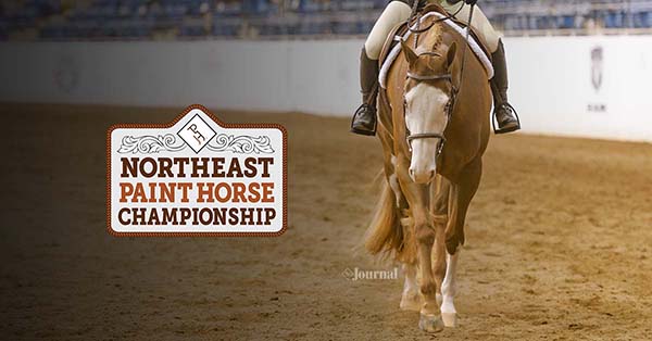2019 Northeastern Paint Horse Championship Scheduled For May in Virginia
