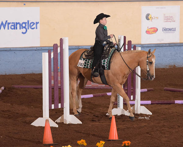Results From 2019 AQHA L1 Championship Central