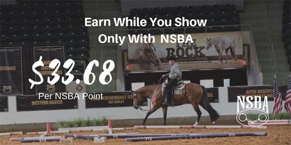 NSBA SIF Paid $33.68 Per Point in 2018