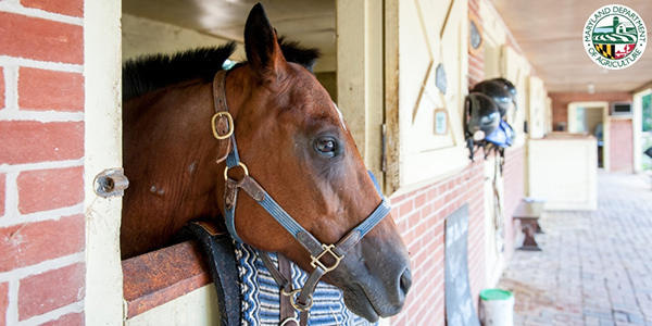 Equine Nutrient Management and Conservation Training