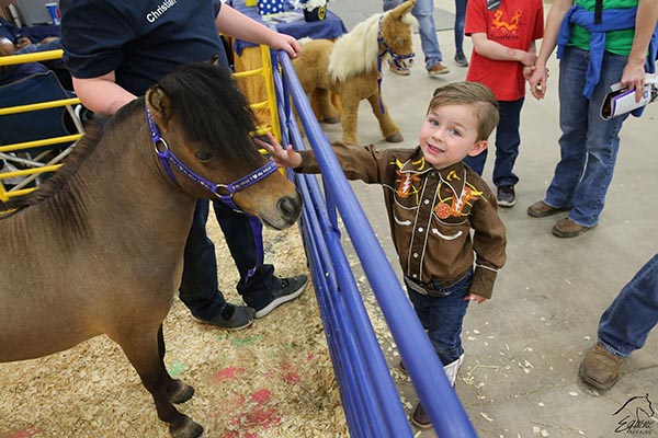 Equine Affaire Concludes in Ohio