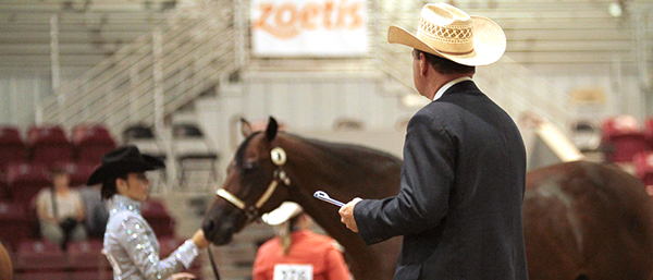 Judges Announced for 2019 AQHA Select World