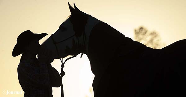 Sincerest Condolences Following Passing of APHA National Director, Sandy Read