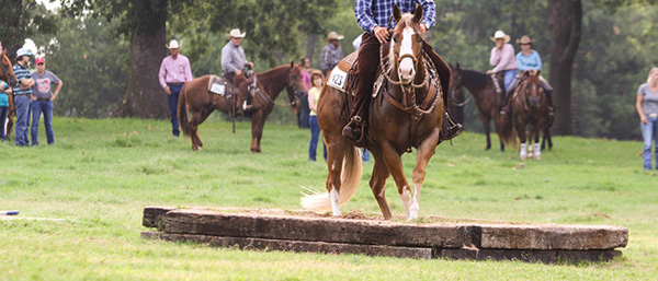 AQHA VRH World Show- Ride The Pattern Clinics