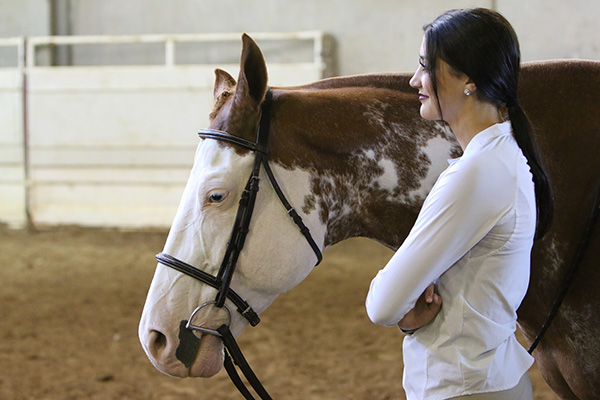 Around the Ring Photos and Results- Pinto World Show- June 12th