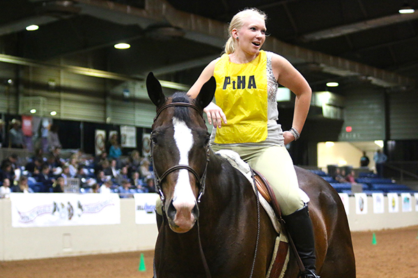 Day 1 Around the Rings- Pinto World Show