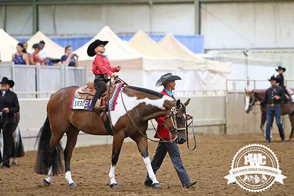 Around the Ring Photos and Results- Pinto World Show- June 19th