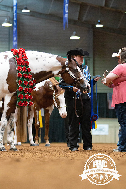 Save The Date For 2020 Pinto World Show