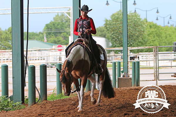 Around the Ring Photos and Results- June 14-16- Pinto World Show