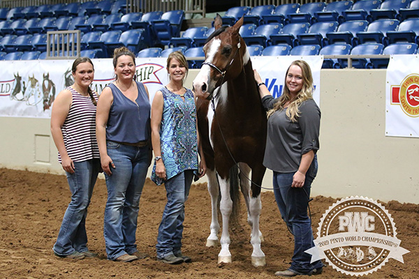 Around the Ring Photos and Results- Pinto World Show- June 22nd