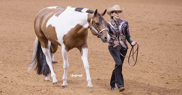 APHA World Show Competitors Will Receive FREE Class Videos of Performances
