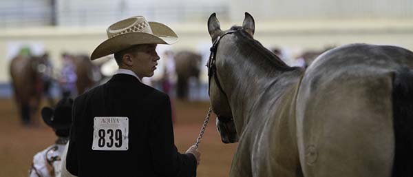 Reminder- AQHA Youth World Performance Halter Changes