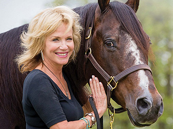 Blazing Hot – A Tribute to the Beloved AQHA Stallion