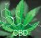 Cannabis For Horses? Cannabis For Horses?