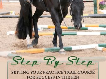 Step By Step – Setting Your Practice Trail Course for Success in the Pen