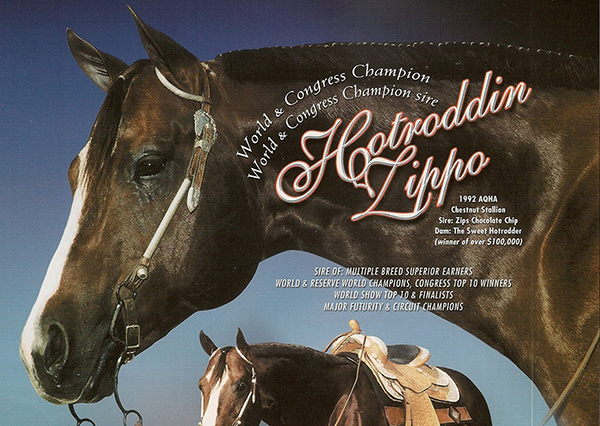 In Loving Memory of Hotroddin Zippo (1992-2019)