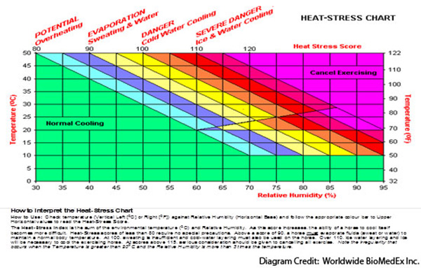 Part 2 – Developing the Sport Horse: The Importance of Hydration