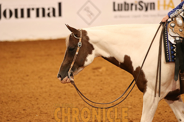 2019 APHA Youth World Show Exhibitors Head Home With $250,000+ Cash and Prizes