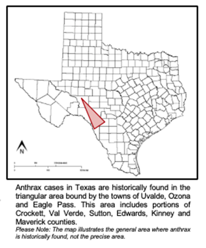 Texas Horse and Other Animals Confirmed to Have Anthrax in Texas