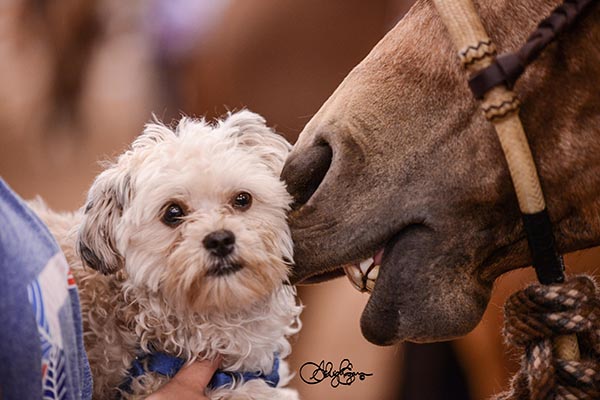 EC Photo of the Day- Mom, He’s Touching Me!