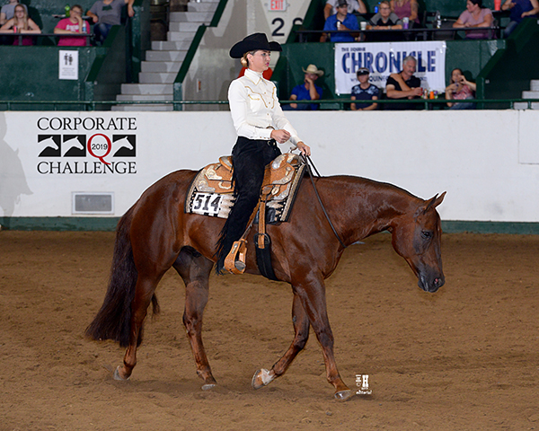 Carey Nowacek and Lethals Hot Weapon Win Equine Chronicle Bridleless Horsemanship at Corporate Challenge