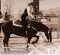 Back in the Saddle – Returning to the Show Pen After a Long Absence Back in the Saddle – Returning to the Show Pen After a Long Absence