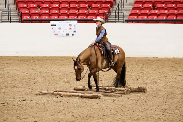 Enter Rescheduled 2019 AQHA West Level 1 Championship