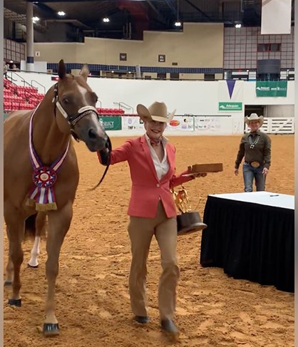 AQHA Select World 2019- Performance Halter