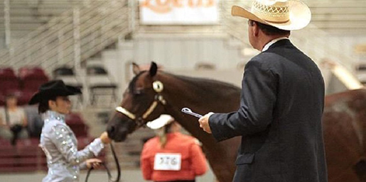 New AQHA Judges Include Ainsworth, Dowdy, Kearns, Hubbard, and Daurio