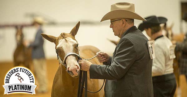 APHA BF Platinum Growth Means $160,000+ Payouts For APHA World