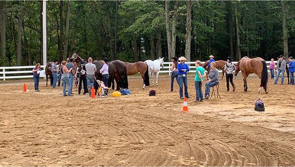 Results From TSQHA Futurity