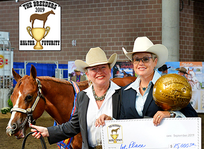 2019 Breeders Halter Futurity is a Wrap!