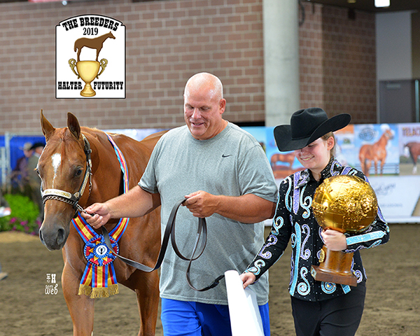 More Around the Ring Photos- 2019 Breeder Halter Futurity