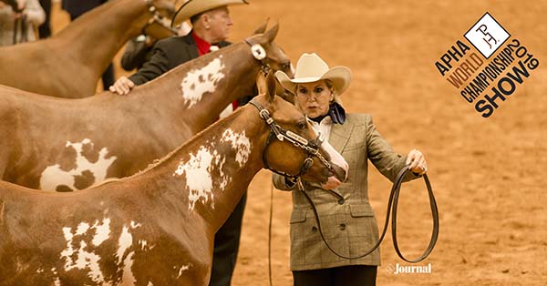 Non Pro Halter Exhibitors Cash in on $166,000 With APHA Platinum Breeders’ Futurity