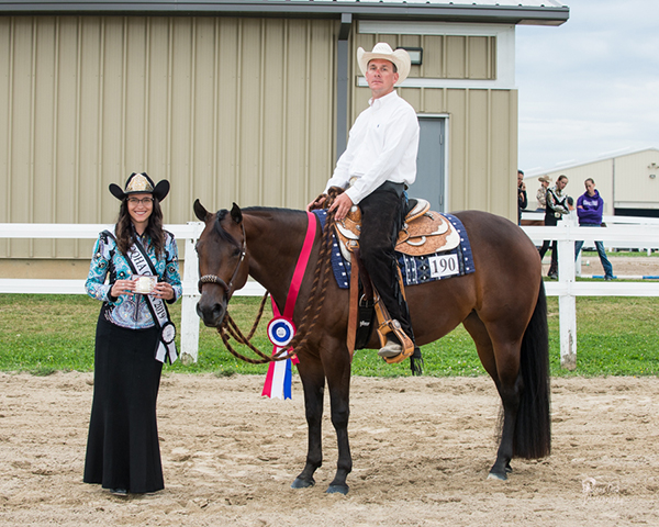 Around the Rings- Ontario QH Summer Finale and Breeders Futurity