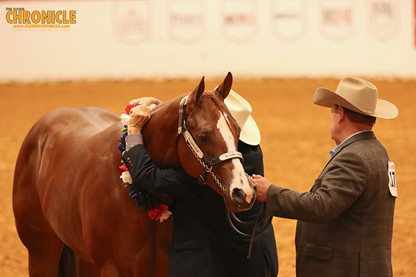 Afternoon Champions at APHA World Include Laney, Finkenbinder, Anding, and More
