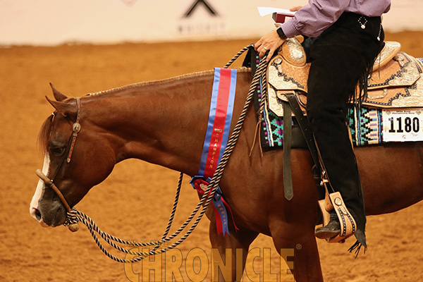 Congratulations All Around and High Point Winners at 2019 APHA World Show!